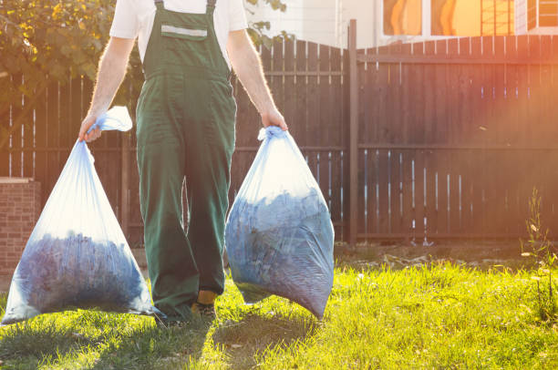 Best Trash Removal Near Me  in La Mesilla, NM
